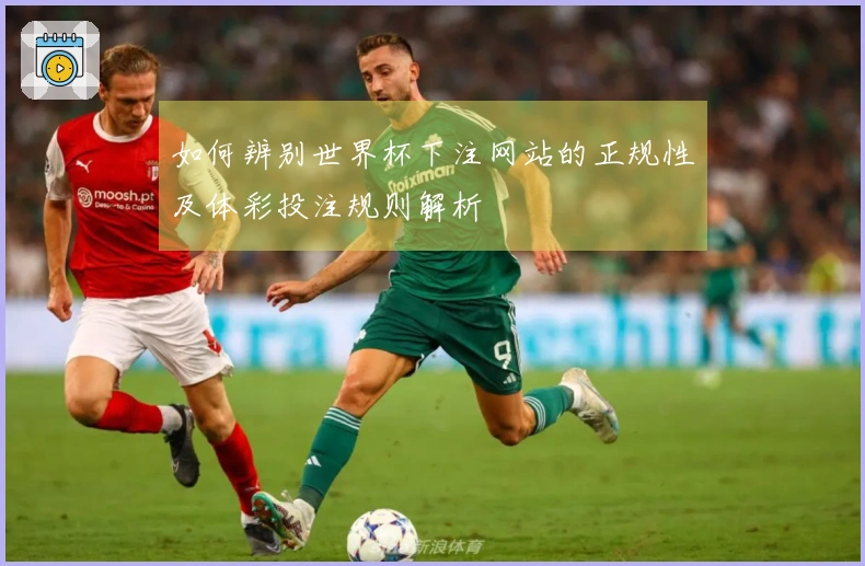 如何辨别世界杯下注网站的正规性及体彩投注规则解析