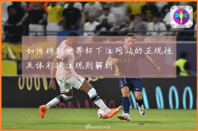 如何辨别世界杯下注网站的正规性及体彩投注规则解析