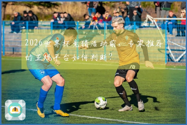 2026世界杯竞猜活动前，专家推荐的正规平台如何判断？