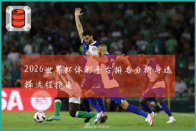 2026世界杯体彩平台排名分析与选择流程指南